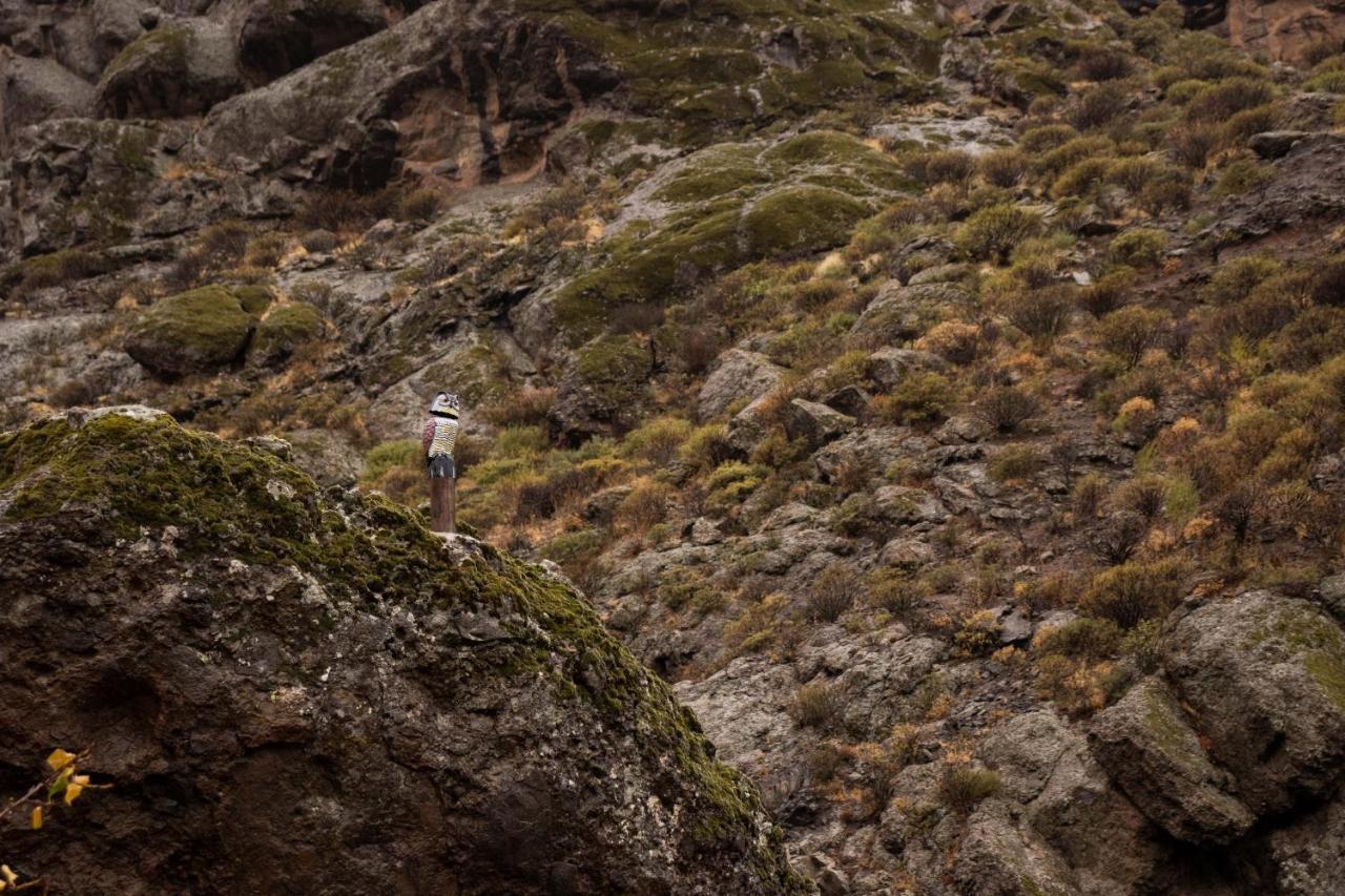La Vuelta Del Amo Villa Las Palmas de Gran Canaria Luaran gambar